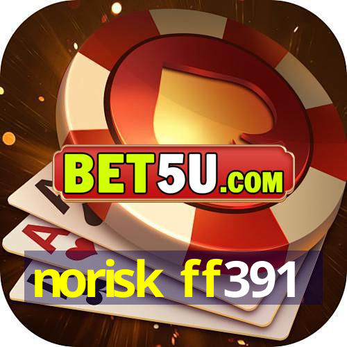 norisk ff391